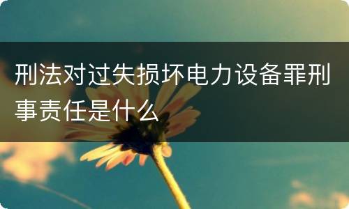 刑法对过失损坏电力设备罪刑事责任是什么