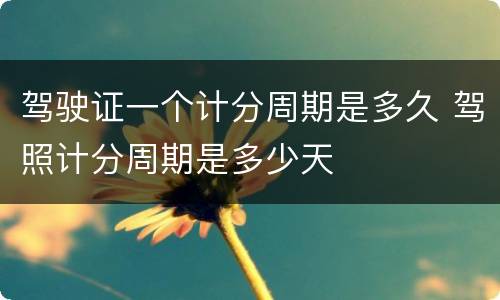 驾驶证一个计分周期是多久 驾照计分周期是多少天