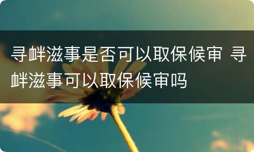 寻衅滋事是否可以取保候审 寻衅滋事可以取保候审吗
