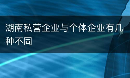 湖南私营企业与个体企业有几种不同