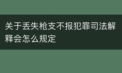 关于丢失枪支不报犯罪司法解释会怎么规定