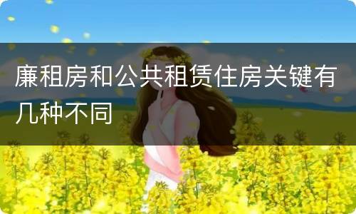 廉租房和公共租赁住房关键有几种不同