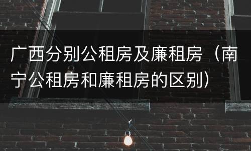广西分别公租房及廉租房（南宁公租房和廉租房的区别）