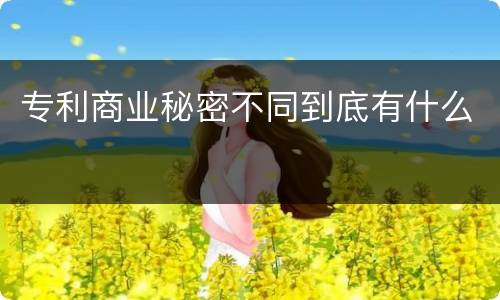 专利商业秘密不同到底有什么