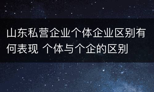 山东私营企业个体企业区别有何表现 个体与个企的区别