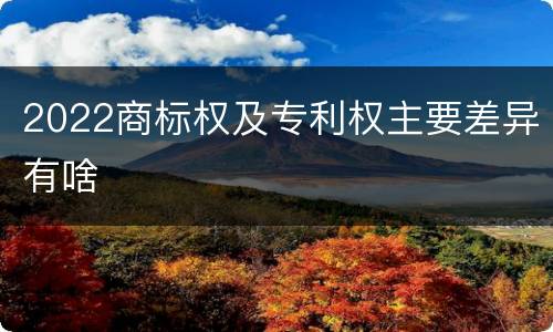 2022商标权及专利权主要差异有啥