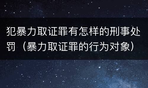 犯暴力取证罪有怎样的刑事处罚（暴力取证罪的行为对象）