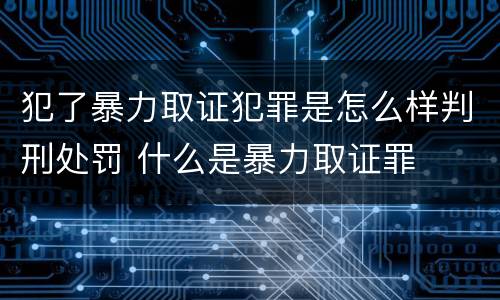 犯了暴力取证犯罪是怎么样判刑处罚 什么是暴力取证罪