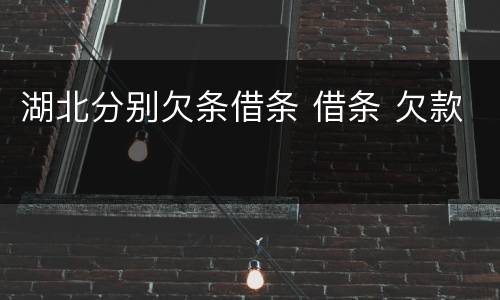 湖北分别欠条借条 借条 欠款