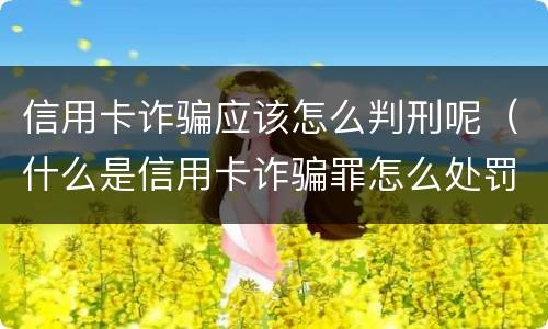 信用卡诈骗应该怎么判刑呢（什么是信用卡诈骗罪怎么处罚）