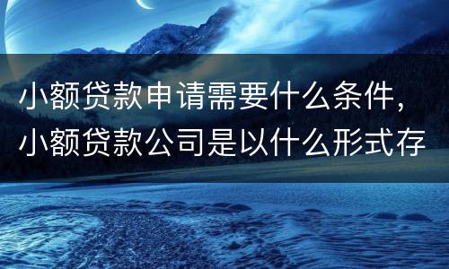 小额贷款申请需要什么条件，小额贷款公司是以什么形式存在的