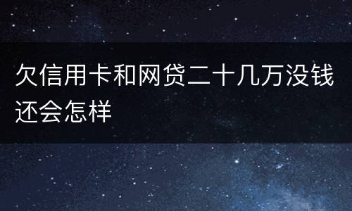 欠信用卡和网贷二十几万没钱还会怎样