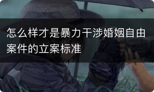 怎么样才是暴力干涉婚姻自由案件的立案标准