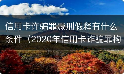 信用卡诈骗罪减刑假释有什么条件（2020年信用卡诈骗罪构成要件）