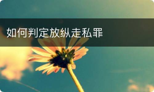 如何判定放纵走私罪