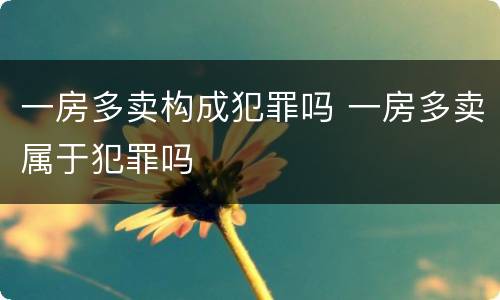 一房多卖构成犯罪吗 一房多卖属于犯罪吗