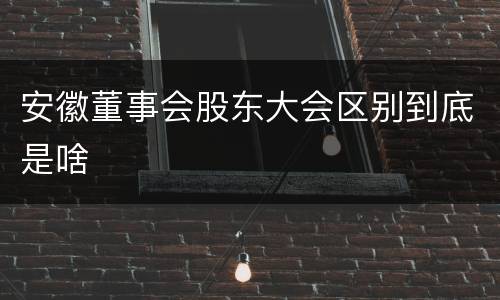 安徽董事会股东大会区别到底是啥