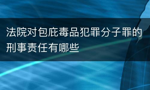 法院对包庇毒品犯罪分子罪的刑事责任有哪些