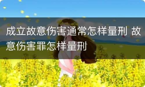 成立故意伤害通常怎样量刑 故意伤害罪怎样量刑