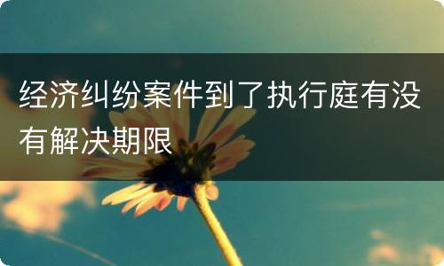 经济纠纷案件到了执行庭有没有解决期限