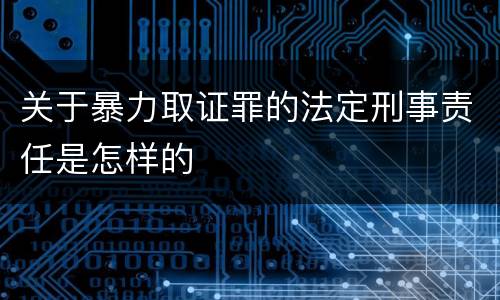 关于暴力取证罪的法定刑事责任是怎样的