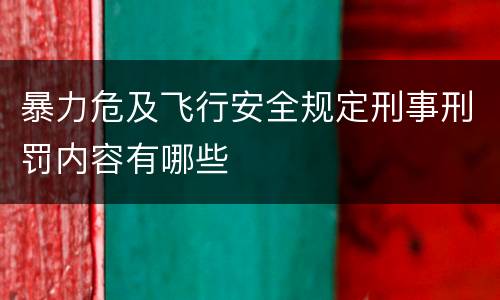 暴力危及飞行安全规定刑事刑罚内容有哪些