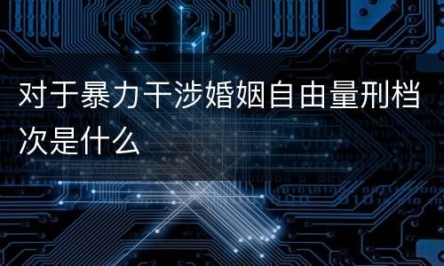 对于暴力干涉婚姻自由量刑档次是什么