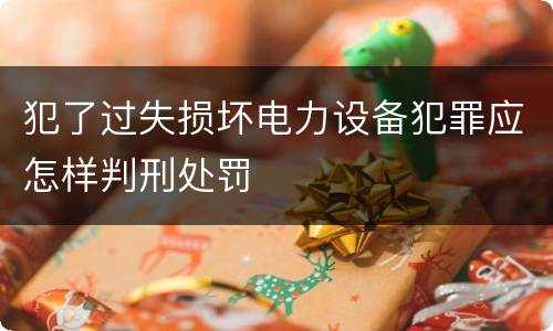 犯了过失损坏电力设备犯罪应怎样判刑处罚
