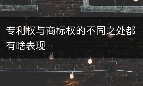 专利权与商标权的不同之处都有啥表现