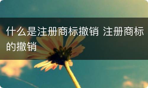 什么是注册商标撤销 注册商标的撤销