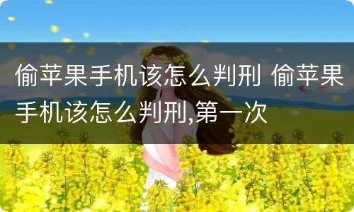偷苹果手机该怎么判刑 偷苹果手机该怎么判刑,第一次