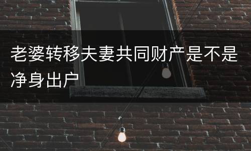 老婆转移夫妻共同财产是不是净身出户