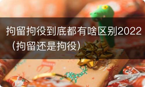 拘留拘役到底都有啥区别2022（拘留还是拘役）