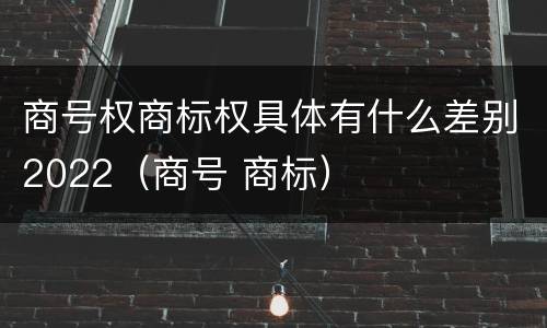 商号权商标权具体有什么差别2022（商号 商标）