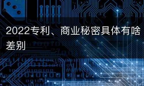 2022专利、商业秘密具体有啥差别