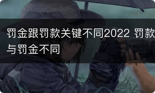 罚金跟罚款关键不同2022 罚款与罚金不同