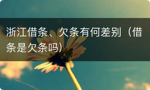 浙江借条、欠条有何差别（借条是欠条吗）