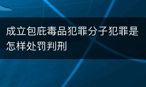 成立包庇毒品犯罪分子犯罪是怎样处罚判刑