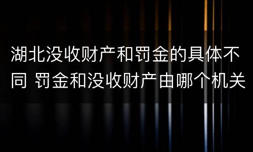湖北没收财产和罚金的具体不同 罚金和没收财产由哪个机关执行