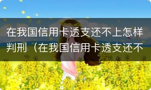 在我国信用卡透支还不上怎样判刑（在我国信用卡透支还不上怎样判刑呢）