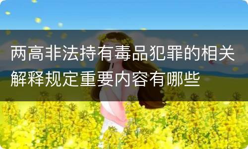 两高非法持有毒品犯罪的相关解释规定重要内容有哪些