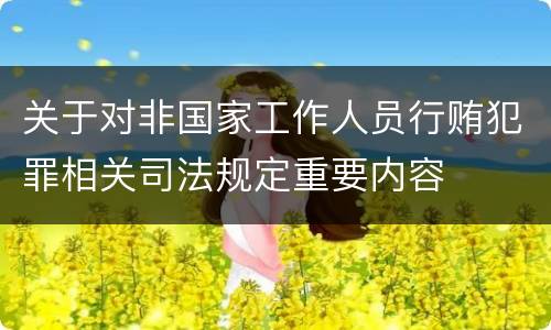 关于对非国家工作人员行贿犯罪相关司法规定重要内容