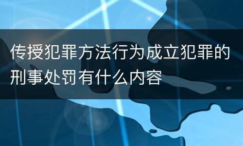 传授犯罪方法行为成立犯罪的刑事处罚有什么内容