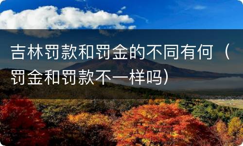 吉林罚款和罚金的不同有何（罚金和罚款不一样吗）