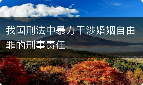 我国刑法中暴力干涉婚姻自由罪的刑事责任