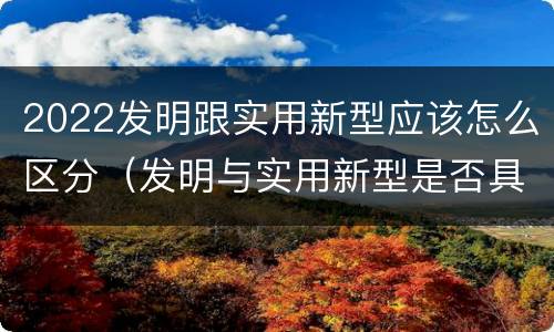 2022发明跟实用新型应该怎么区分(发明与实用新型是否具有实用性)