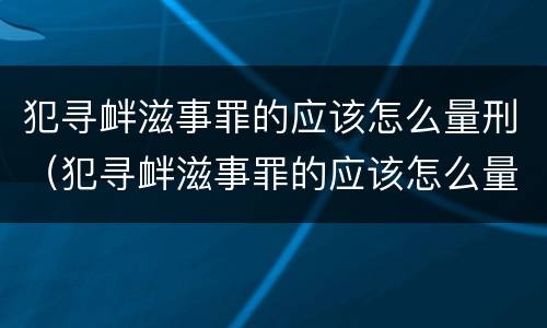 犯寻衅滋事罪的应该怎么量刑（犯寻衅滋事罪的应该怎么量刑呢）
