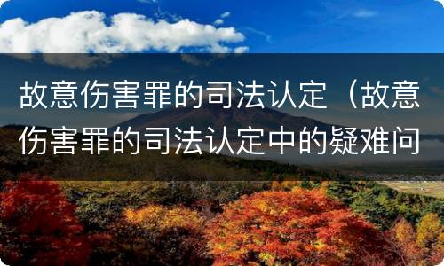 故意伤害罪的司法认定（故意伤害罪的司法认定中的疑难问题）