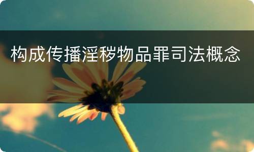 构成传播淫秽物品罪司法概念