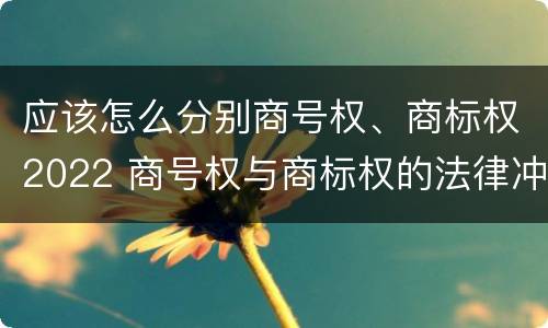 应该怎么分别商号权、商标权2022 商号权与商标权的法律冲突与解决